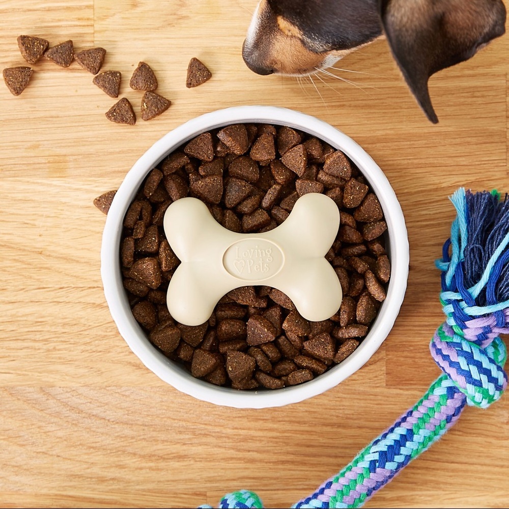 Gobble Stopper Pet Slow Feeder